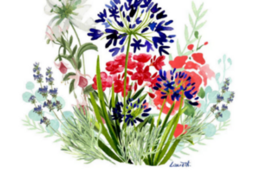 CARTE FELICITATIONS BOUQUET DE FLEURS - Laure Th.Chanal Illustrations